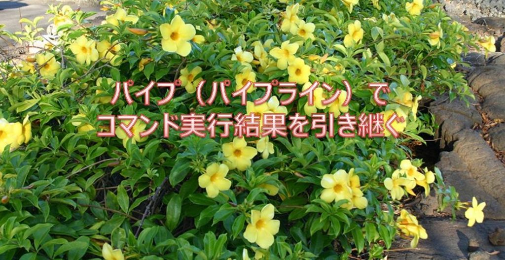 パイプ(パイプライン)でコマンド実行結果を引き継ぐ パイプ(パイプライン)でコマンド実行結果を引き継ぐ