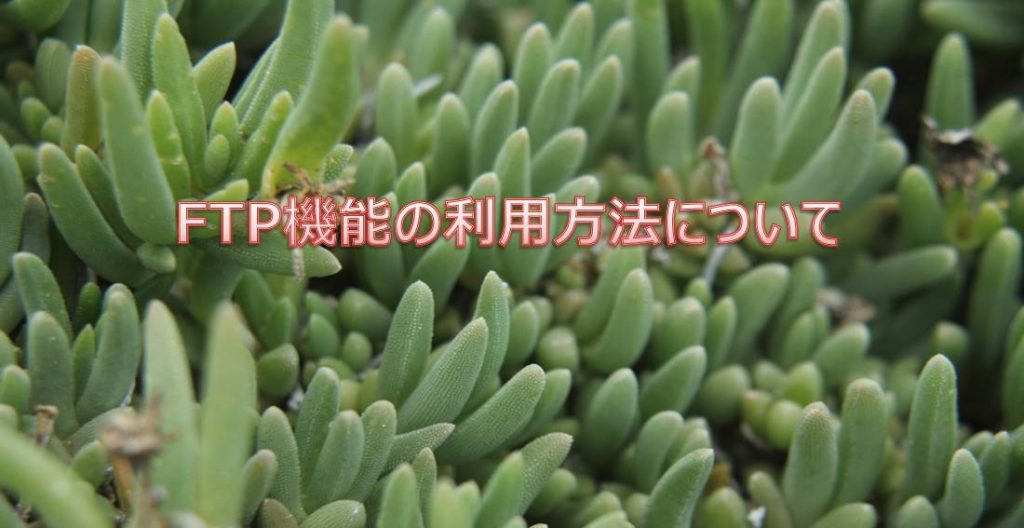 FTP機能の利用方法について FTP機能の利用方法について