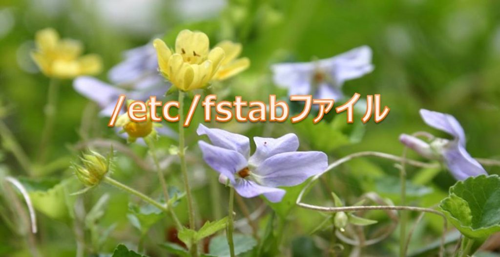 /etc/fstabファイルにてファイルシステム情報を管理 /etc/fstabファイルにてファイルシステム情報を管理