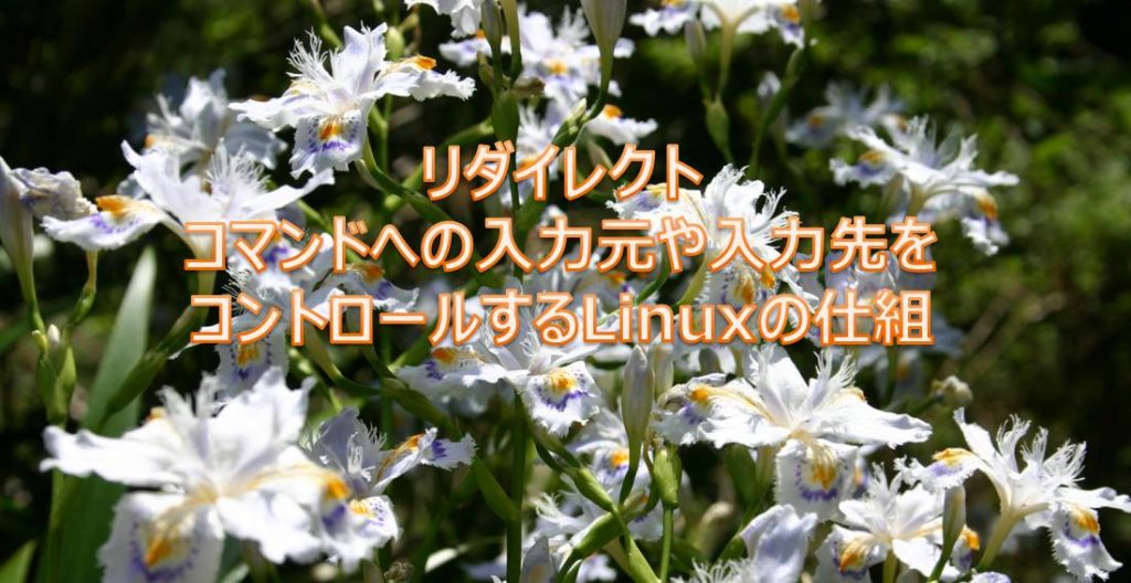リダイレクト リダイレクト