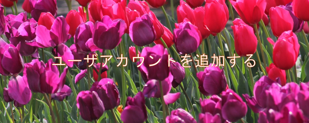 ユーザアカウントを追加する ユーザアカウントを追加する